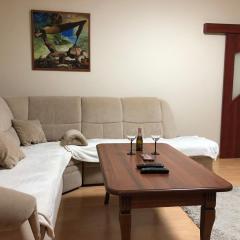 Apartment Sever Hroncova