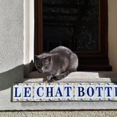 Le Chat Botté - Vankantiehuis in Languedoc-Roussillion