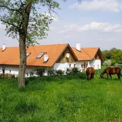 wundervoll eben - CHALETS & PLÄTZE voller WUNDER - NOTSCHKERL & FEINIS