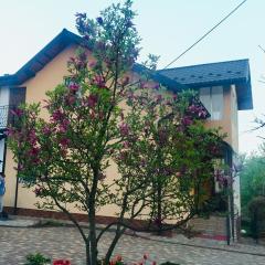 Villa Yaryna