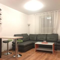 Apartament Studio Ryska