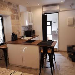 Maison de naissance de Nostradamus