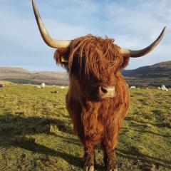 Trotternish B&B