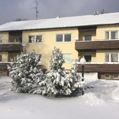 Blockhäuser Fewo2 Harzblick