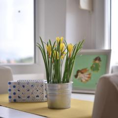 The Dream On Apartment