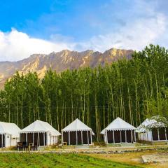 Terrain Ladakh Camping