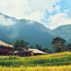 Joy House Indigo Batik