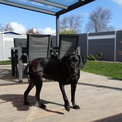 Ferienhaus Plattfisch