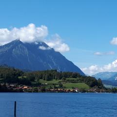 Berner Oberland Am Thunersee