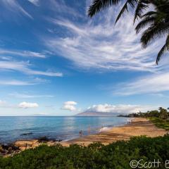 South Maui 1 BR Guest Suite - Kamaole Beach Area