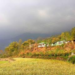 VAMOOSE PARKHA SIKKIM