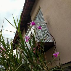 Casa em condomínio - Enseada