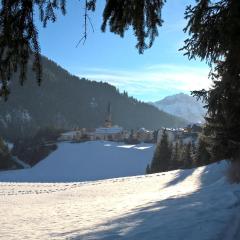 Chalet Hotel Diamant