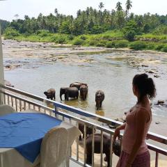 Hotel Pinnalanda - NEW DEAL! Half Off Airport Pickups Available