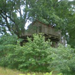 cabane perchée