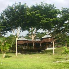 Exotic High End Unique Off-The-Grid Treehouse, steps away from the Mopan River!