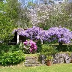 O Lughar Darriba Fogar Natural
