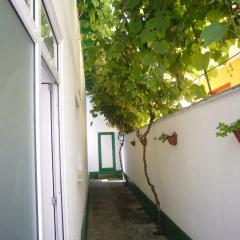 Camere De Inchiriat "Pinciuc Gheorghe"