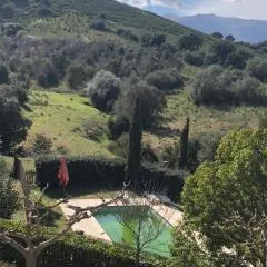Oliera 2