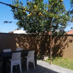 Lemon Tree Apartment