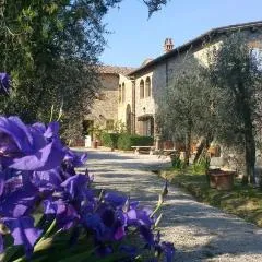 Podere San Quirico