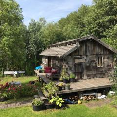 Cabin in the Green - near Amsterdam