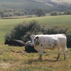 Harepath Farm Cottages 1