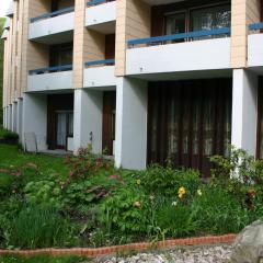 Apartment Traube