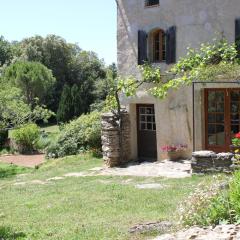 Domaine de Perruche du buis