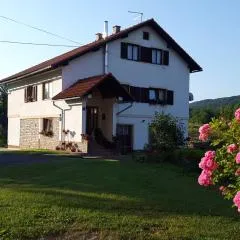 Apartments Jure