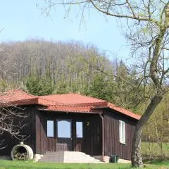 Szałas Muflon - Mufflonhütte