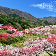 Yura No Yado Seifuen