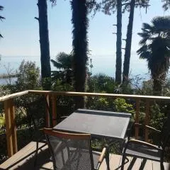 Studio apartman Arni