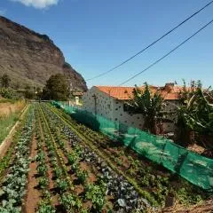 Casa Celia