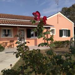 Lonelia's Family Homes