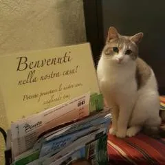 B&B Meladormo