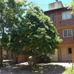 La Palmera escondida