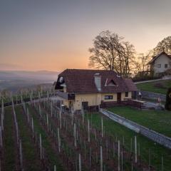 Vineyard cottage Hočevar