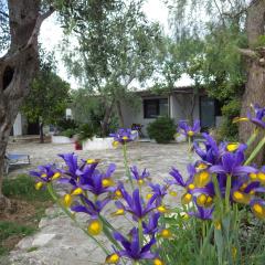 B&B Masseria Liberatore