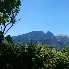 MSC Apartments Honeymoon