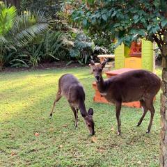 Versteek, Bokkie se le plek