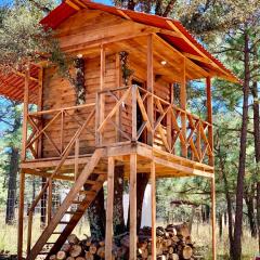 CASA DEL ARBOL en la Sierra de Durango