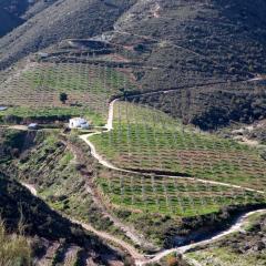 Cortijo El Rancho