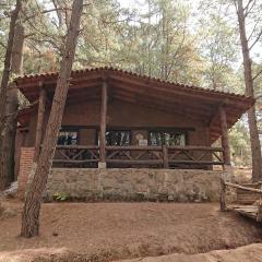 Cabañas Tapalpa Sierra del Tecuan, Cabaña Venado