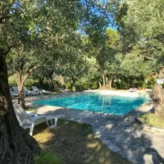 La Picholine en Provence