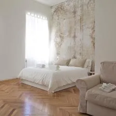 Rapanus Suites