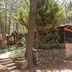 Cabañas Tapalpa Sierra del Tecuan, Cabaña Coyote