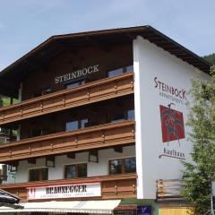 Appartements Steinbock - Ski-In & Ski-Out