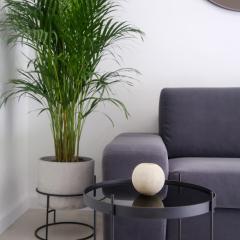 Apartments HUGO 2