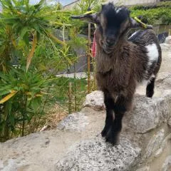 le Mas de la Jardine